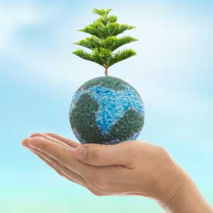 Environmental Advantages of Expanded Metal