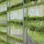 Architectural Expanded Metal- Living Wall